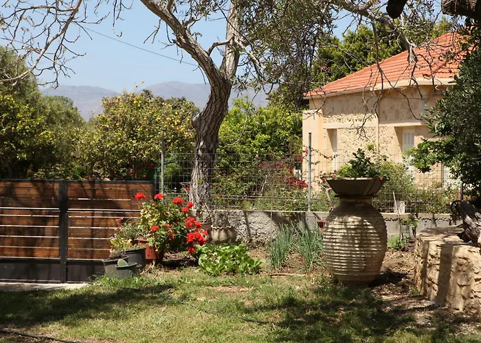 Cretan Cottage Of 1900 With Beautiful Olive Yard